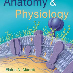 Anatomy & Physiology 6th Edition