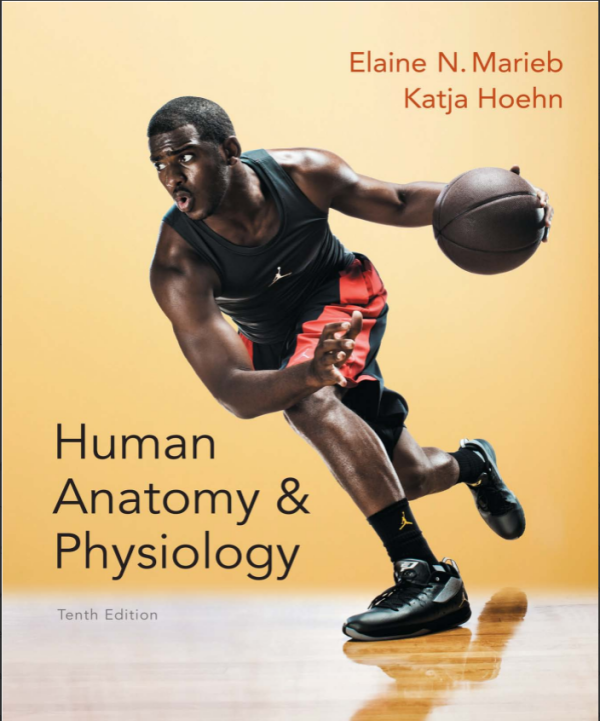 Human Anatomy & Physiology 10th Edition (Online Access)